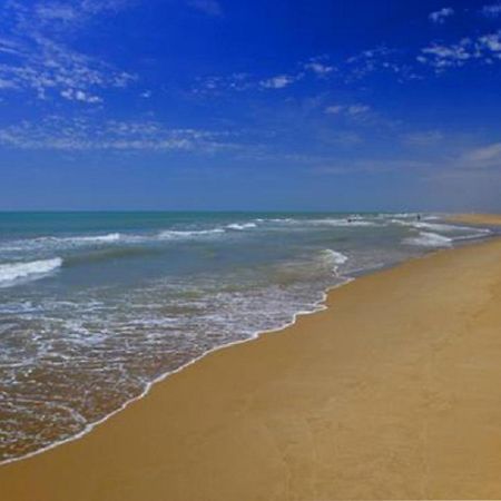 Mas Illa De Riu - Autentica Masia Del Delta Del Ebro Con Capacidad Para 20 Personas - Deltavacaciones Sant Jaume d'Enveja Exterior foto