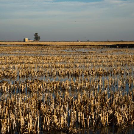Mas Illa De Riu - Autentica Masia Del Delta Del Ebro Con Capacidad Para 20 Personas - Deltavacaciones Sant Jaume d'Enveja Exterior foto