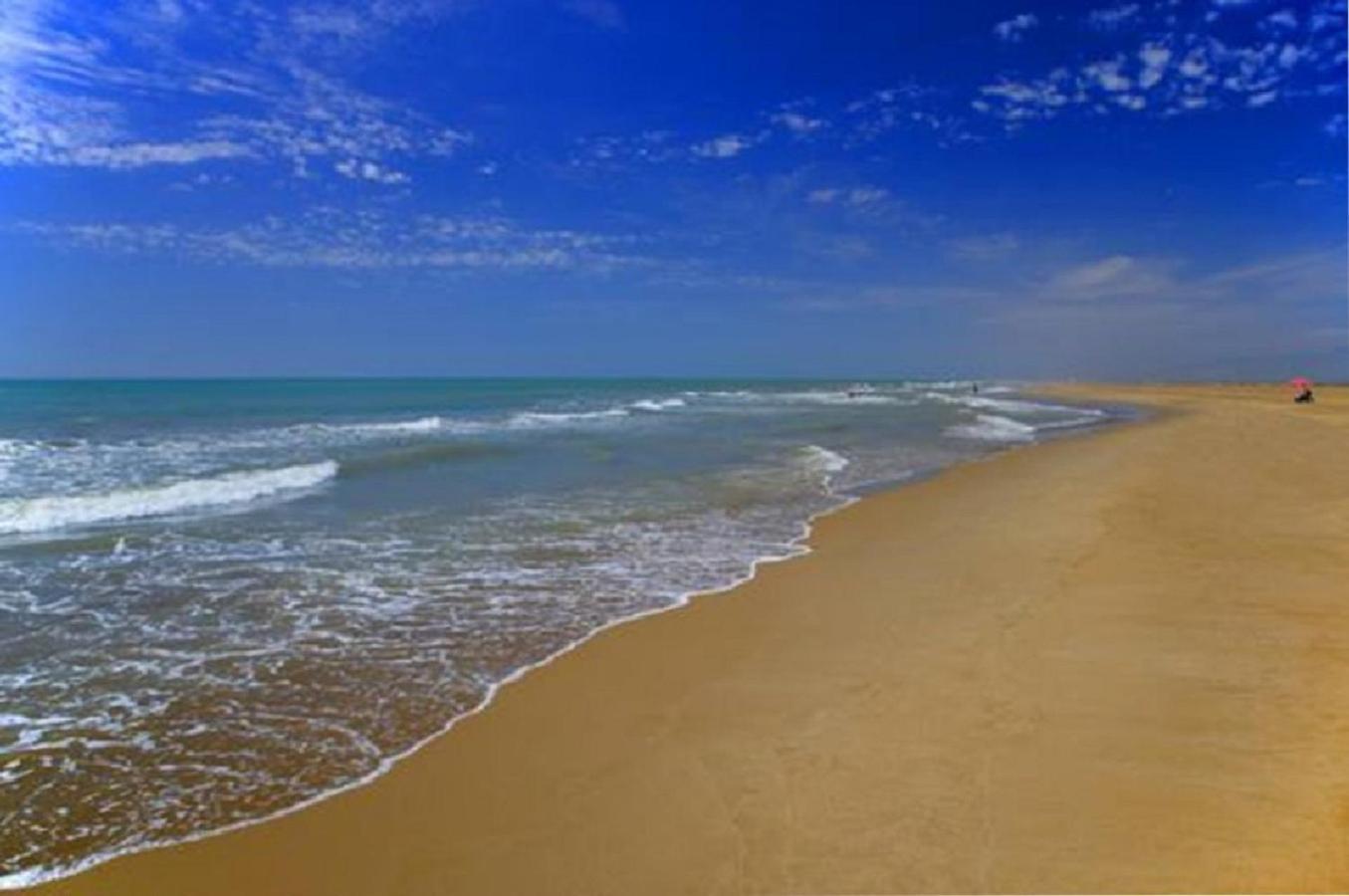 Mas Illa De Riu - Autentica Masia Del Delta Del Ebro Con Capacidad Para 20 Personas - Deltavacaciones Sant Jaume d'Enveja Exterior foto