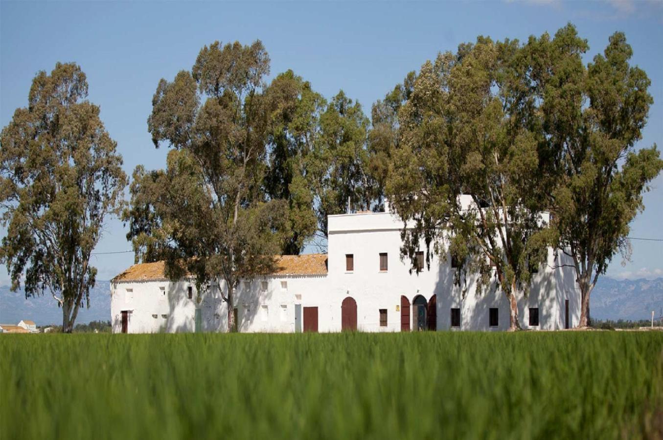 Mas Illa De Riu - Autentica Masia Del Delta Del Ebro Con Capacidad Para 20 Personas - Deltavacaciones Sant Jaume d'Enveja Exterior foto