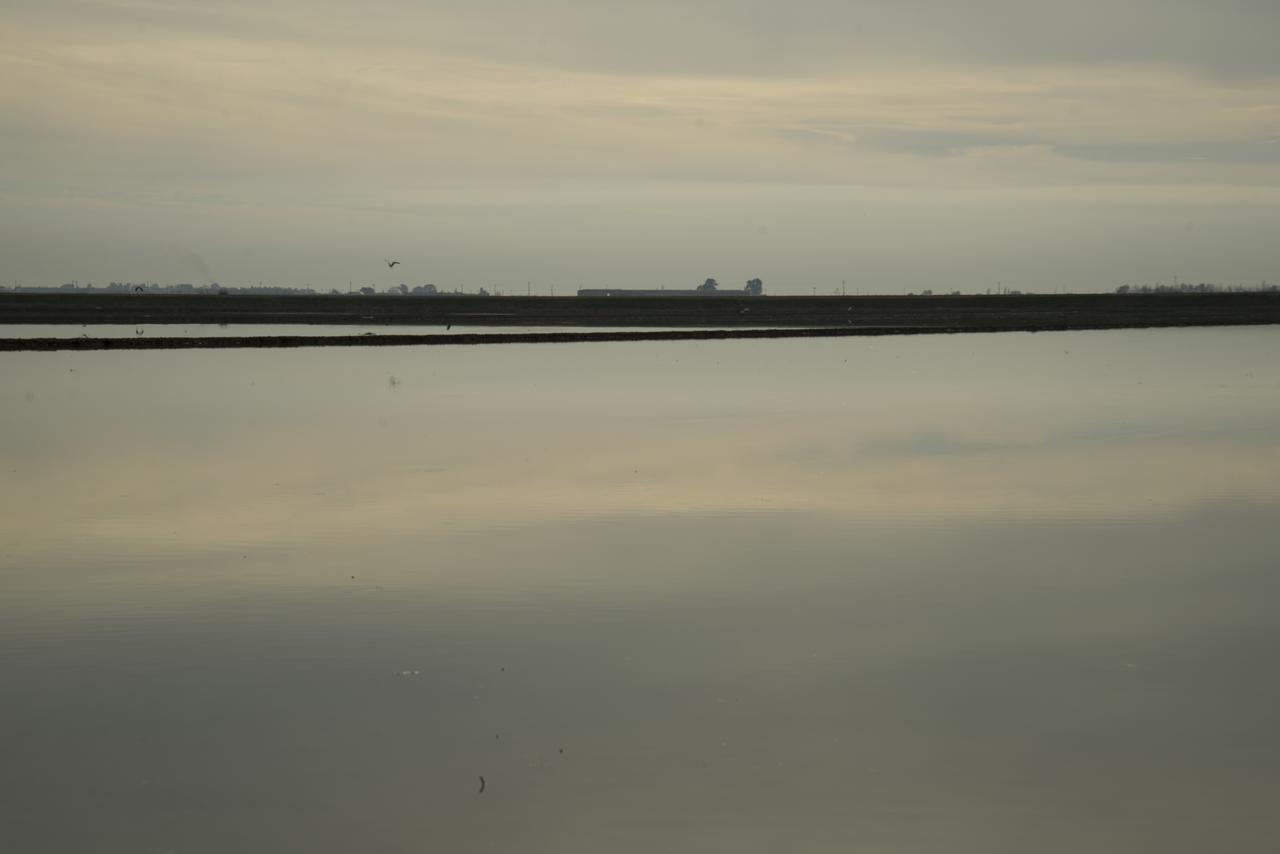 Mas Illa De Riu - Autentica Masia Del Delta Del Ebro Con Capacidad Para 20 Personas - Deltavacaciones Sant Jaume d'Enveja Exterior foto