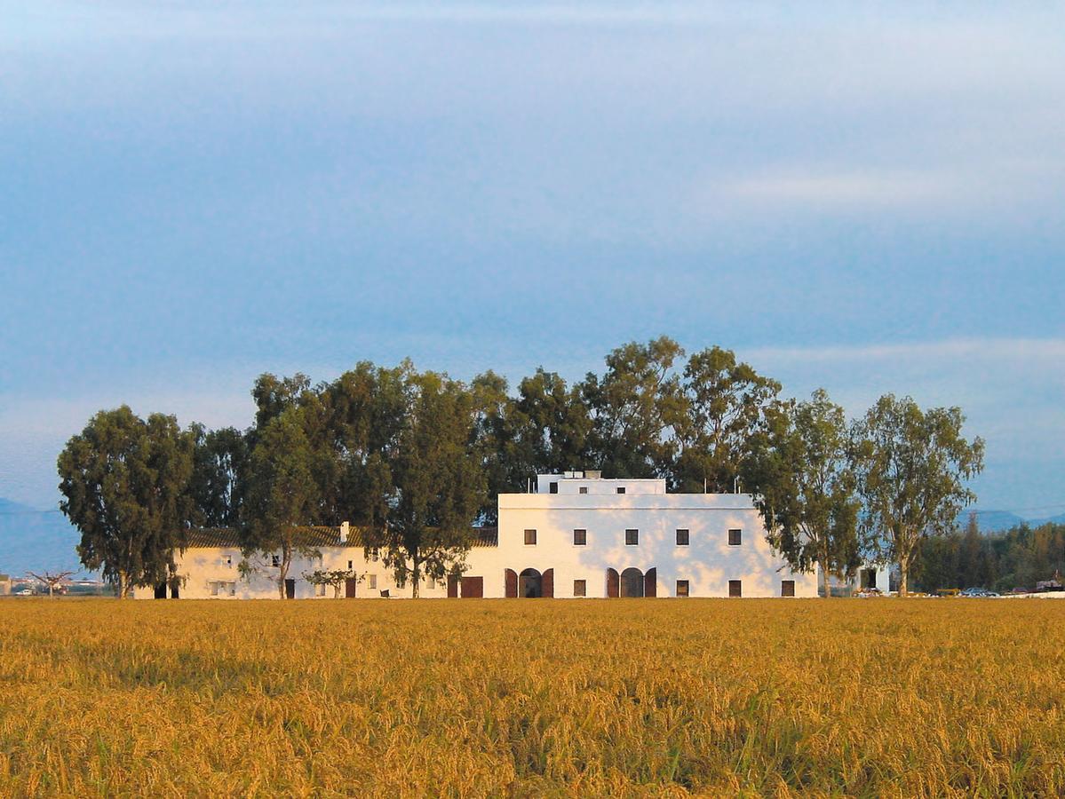 Mas Illa De Riu - Autentica Masia Del Delta Del Ebro Con Capacidad Para 20 Personas - Deltavacaciones Sant Jaume d'Enveja Exterior foto